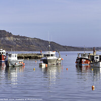 Buy canvas prints of Winter Harbour at Lyme Regis  by Susie Peek