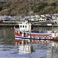 Buy canvas prints of Winter Harbour at Lyme Regis by Susie Peek
