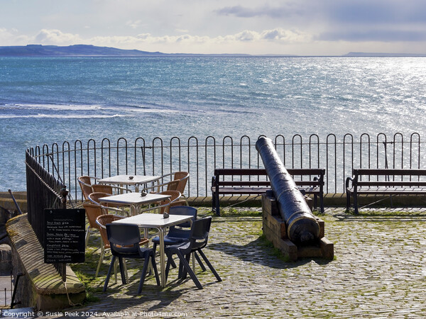 Outdoor Dining with a View over Lyme Bay Picture Board by Susie Peek