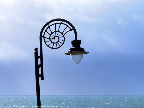 Nautilus-design Lamp against Stormy Ocean Blues  Picture Board by Susie Peek