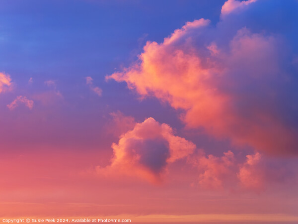 Fiery Dawn Clouds on an April Sunrise Picture Board by Susie Peek