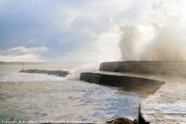 Winter Storms - Lyme Regis Picture Board by Susie Peek