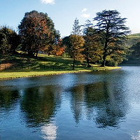 Buy canvas prints of Lake At Littlebredy by Susie Peek