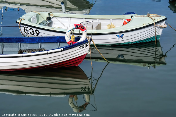 Small Skiffs - Lyme Regis Harbour Picture Board by Susie Peek