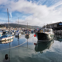 Buy canvas prints of Lyme Regis Harbour - September by Susie Peek