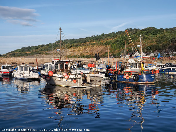 Fishing Boats At Lyme Regis Harbour Picture Board by Susie Peek