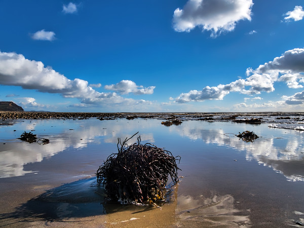 Winter Cloud Reflections at Charmouth Picture Board by Susie Peek