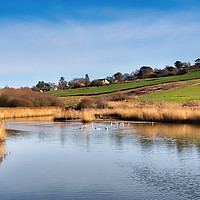 Buy canvas prints of River Char at Charmouth by Susie Peek