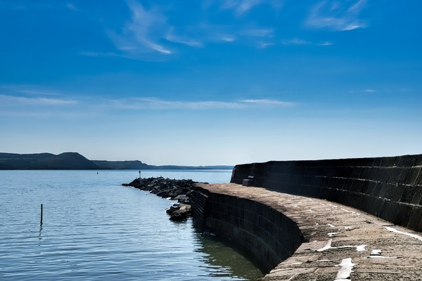 Calm Waters At The Cobb - Lyme Regis Picture Board by Susie Peek