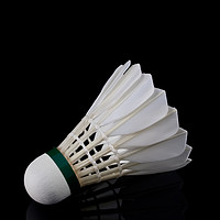 Buy canvas prints of Shuttlecock by Michael Greaves
