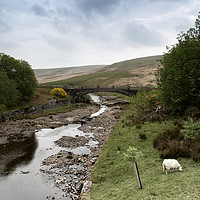 Buy canvas prints of Afon Claerwen with Bridge. Welsh countryside. by Michael Greaves