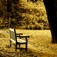 Buy canvas prints of The BENCH  by Omran Husain