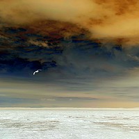 Buy canvas prints of Flying Solo In A Stormy Sky by Chris Williams
