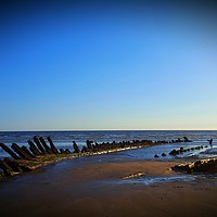 Buy canvas prints of Beached  by Chris Williams
