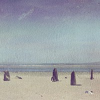 Buy canvas prints of Seaside Sticks by Chris Williams