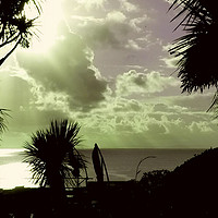 Buy canvas prints of Tropical Tenby by Chris Williams