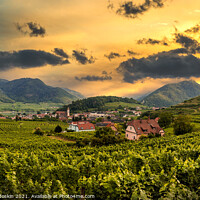 Buy canvas prints of Sunset over vineyard and Spitz town in Wachau region, Austria. by Sergey Fedoskin