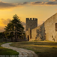 Buy canvas prints of Fortress Kalemegdan on a sunset time. Belgrade, Serbia by Sergey Fedoskin