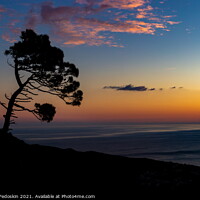 Buy canvas prints of Silhouette Pine tree on sunset time.  by Sergey Fedoskin
