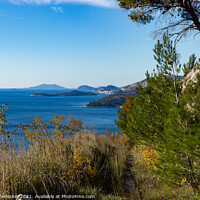 Buy canvas prints of View of the Adriatic coast. Dalmatia Region. Croatia by Sergey Fedoskin
