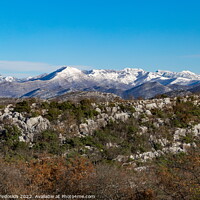 Buy canvas prints of Sunny winter day in mountains. Balkanian mountains. Croatia. by Sergey Fedoskin