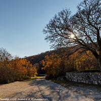 Buy canvas prints of The road in a Balkanian mountains. Croatia. by Sergey Fedoskin