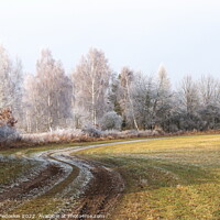 Buy canvas prints of Winter countryside road in Czechia. by Sergey Fedoskin