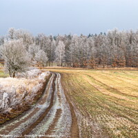 Buy canvas prints of Winter countryside road in Czechia. by Sergey Fedoskin