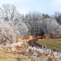 Buy canvas prints of Winter countryside landscape in Czechia. by Sergey Fedoskin