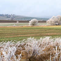 Buy canvas prints of Winter landscape in Czech countryside. by Sergey Fedoskin