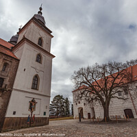 Buy canvas prints of St. Procopius basilica and monastery in town Trebic. UNESCO site, Czechia. by Sergey Fedoskin