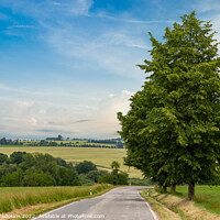 Buy canvas prints of Rural road in a summer field. Summer landscape. by Sergey Fedoskin