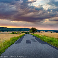 Buy canvas prints of Road in rye fields. Summer evening. Sunset sky. by Sergey Fedoskin