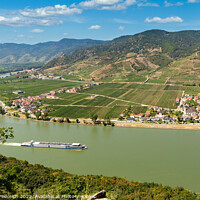Buy canvas prints of Danube river and vineyards in Wachau valley. Lower Austria. by Sergey Fedoskin