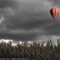 Buy canvas prints of Hot air balloon flying over a corn field by Sergey Fedoskin