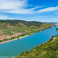 Buy canvas prints of Vineyards by the Danube river in Wachau valley. Lower Austria. by Sergey Fedoskin