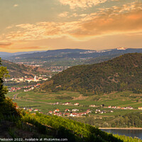 Buy canvas prints of Picturesque landscape with vineyards in Wachau valley. Krems region. Lower Austria by Sergey Fedoskin