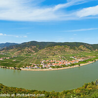 Buy canvas prints of Vineyards by the Danube river in Wachau valley. Lower Austria. by Sergey Fedoskin
