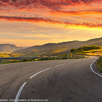 Buy canvas prints of Sunset over vineyards and road. Wachau valley. Austria by Sergey Fedoskin