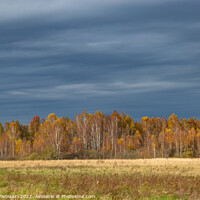 Buy canvas prints of Fields and forests in cloudy, autumn weather. Late fall. Europe. by Sergey Fedoskin