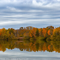 Buy canvas prints of Forest lake in cloudy, autumn weather. Late fall. Europe. by Sergey Fedoskin