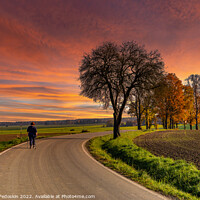 Buy canvas prints of Sunset over rural road. by Sergey Fedoskin