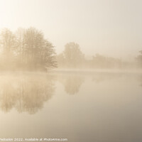 Buy canvas prints of Foggy early morning on a lake. by Sergey Fedoskin
