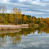 Buy canvas prints of Forest lake in cloudy, autumn weather. Late fall. Europe. by Sergey Fedoskin