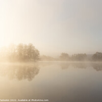 Buy canvas prints of Foggy early morning on a lake. by Sergey Fedoskin