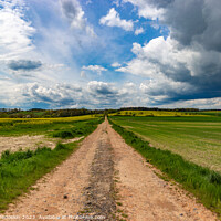 Buy canvas prints of A dirt road among spring fields. by Sergey Fedoskin