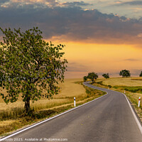 Buy canvas prints of Road among summer ripe fields by Sergey Fedoskin