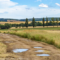 Buy canvas prints of Summer rural landscape with a road among the fields by Sergey Fedoskin