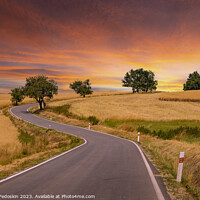 Buy canvas prints of Road among summer ripe fields and cherry trees by Sergey Fedoskin