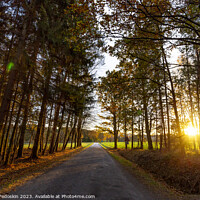 Buy canvas prints of Rural road through forest on an autumn day. by Sergey Fedoskin
